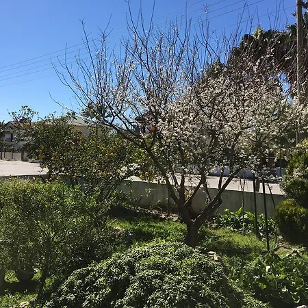 Botanic Dalyan