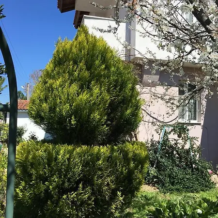Botanic Villa Dalyan